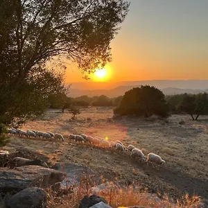 Ferienhaus Su Saucu, Dorgali