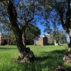 Venkovský dům S'ulumu, Dorgali